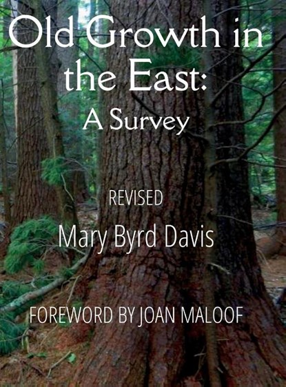 Old Growth in the East, Mary Byrd Davis - Gebonden - 9798998626838