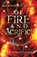 Of Fire and Sacrifice, Marianne A. Scott - Paperback - 9798999101204