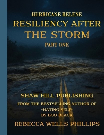 Hurricane Helene Resiliency After the Storm Part One, Rebecca Wells Phillips - Paperback - 9798999428516
