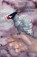 Quiet Underpinnings, Aleathia Drehmer - Paperback - 9798999625663