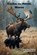 Cosmo, the Heroic Moose, Susan Berube - Paperback - 9798999690234