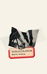 Voices in the Evening - Natalia Ginzburg - 9780811231008