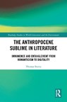 The Anthropocene Sublime in Literature - Thomas Storey - 9781041207115