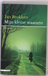 Mijn kleine waanzin - BROKKEN, Jan - 9789045016931