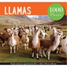 Puzzle Llamas - Peter Pauper - 9781441330611