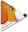 Wie zegt wat? - Elsa Mroziewicz - 9789051167337