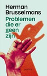 Problemen die er geen zijn - Herman Brusselmans - 9789044650280
