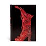 Sorceress (Fabulous Footwear) Midi Lined Hardcover Journal (Elastic Band Closure) - Paperblanks - 9781439716571