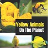 Yellow Animals On The Planet - Baby - 9798869453181
