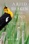A Reed Shaken with the Wind - Andrew H. Hedges - 9781647692414
