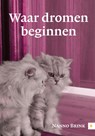 Waar dromen beginnen - Nanno Brink - 9789048426522