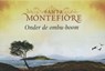 Onder de ombu-boom - Santa Montefiore - 9789049803186