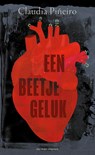 Een beetje geluk - Claudia Piñeiro - 9789493305236