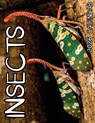 Insects 2026 Calendar - B. Patrick - 9798330349555