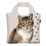 Ecozz tas Mr. Cat - Studio Onszelf - Ecozz - 8594176443201