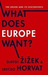 What Does Europe Want?: The Union and Its Discontents - Slavoj Zizek - 9780231171076