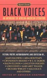 Black Voices - Various - 9780451527820