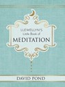 Llewellyn's Little Book of Meditation - David Pond - 9780738755571