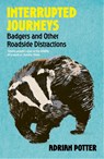 Interrupted Journeys - Adrian Potter - 9781399822411