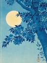 Bookbound Journal Peter Pauper Cherry on a Moonlit Night - Comello - 9781441346889