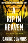 A Rip in Heaven - Jeanine Cummins - 9781472272898