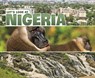 Let's Look at Nigeria - Mary Meinking - 9781474784689