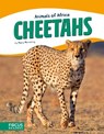 Animals of Africa: Cheetahs - Mary Meinking - 9781635173253
