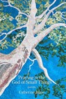 Praying to the God of Small Things - Catherine Jagoe - 9781639805570