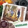 Exploring the Woodland - Holly Duhig - 9781786374394