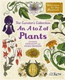 The Curator's Collection: An A to Z of Plants - Katie Scott Limited - 9781835879214