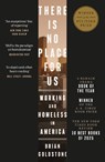 There Is No Place for Us - Brian Goldstone - 9781837268016
