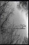 Dark Winter's Night - Brenda Stephens - 9781945698255