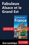 Fabuleux Alsace et le Grand Est - Collectif d'auteurs - 9782765874744
