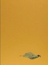 Yoshihiro Suda. Garden Eden - Michael Hering - 9783753309811