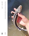 DELUS: The Journal of the Institute of Landscape and Urban Studies -  - 9783775756365