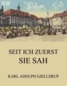 Seit ich zuerst sie sah - Karl Adolph Gjellerup - 9783849655495