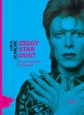 Ziggy Stardust - Luca Scarlini - 9788867831142