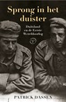 Sprong in het duister - Patrick Dassen - 9789028291270