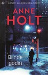 Blinde godin - Anne Holt - 9789044369458
