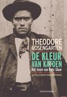 De kleur van katoen - Theodore Rosengarten - 9789083212272