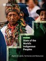 State of the world's indigenous peoples - United Nations: Department of Economic and Social Affairs - 9789211304183