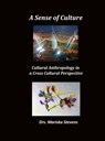 A Sense of Culture - Mariska Stevens - 9789403869797