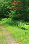 E.H.W.V. De Jutter Fotoboek deel 3 Archief - Rick Van Beckhoven - 9789465385198