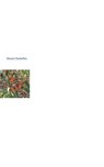 Monarch Butterflies - Stephen Jones - 9798230821465