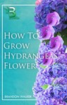 How to Grow Hydrangeas Flower: Beginners Guide To Growing Caring And Harvesting Hydrangeas at Home And in the Garden - Brandon Walker - 9798872272366