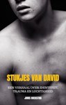Stukjes van David - Joris Hoekstra - 9789464189377