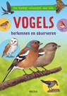 Vogels herkennen en observeren - Valerie TRACQUI - 9789044753479