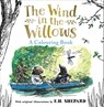 Wind in the Willows Colouring Book - Kenneth Grahame - 9780008821968