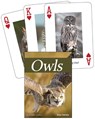 Owls Playing Cards -  - 9781591939344