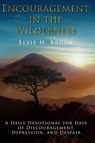 Encouragement in the Wilderness - Elsie H. Brunk - 9781965649091